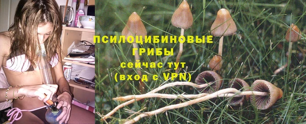 винт Богородицк