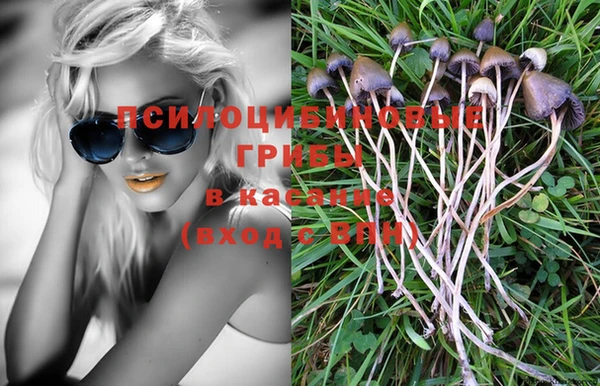 хмурый Богданович