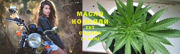 сатива Богородск