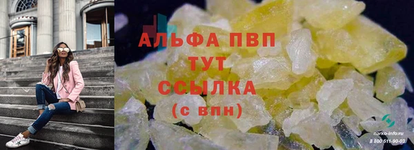 сатива Богородск
